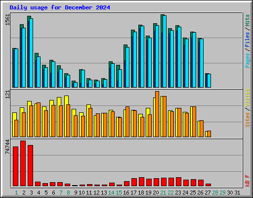 Daily usage for December 2024