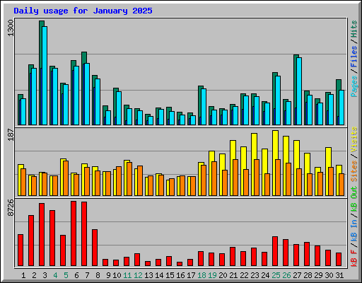 Daily usage for January 2025