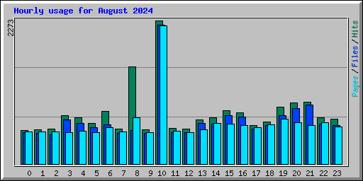 Hourly usage for August 2024