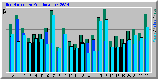 Hourly usage for October 2024