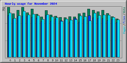 Hourly usage for November 2024