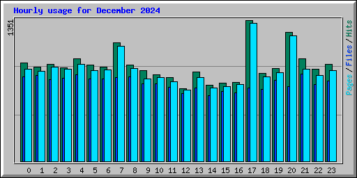 Hourly usage for December 2024