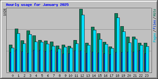 Hourly usage for January 2025