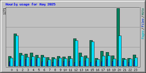 Hourly usage for May 2025