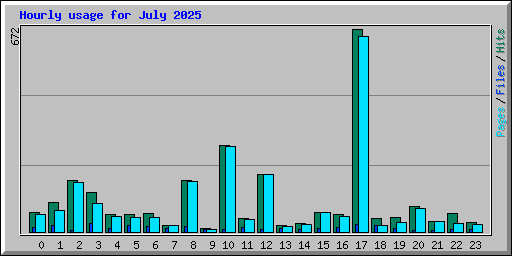 Hourly usage for July 2025