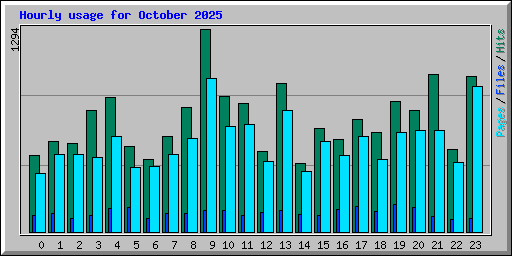 Hourly usage for October 2025