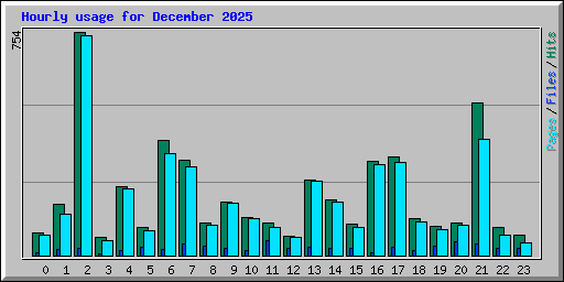 Hourly usage for December 2025