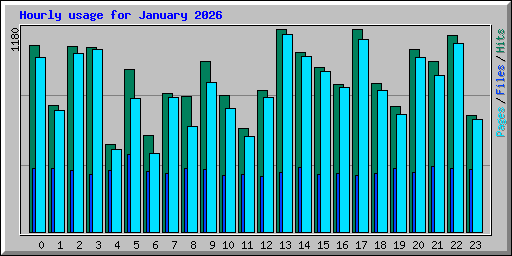 Hourly usage for January 2026
