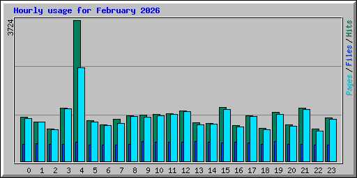 Hourly usage for February 2026