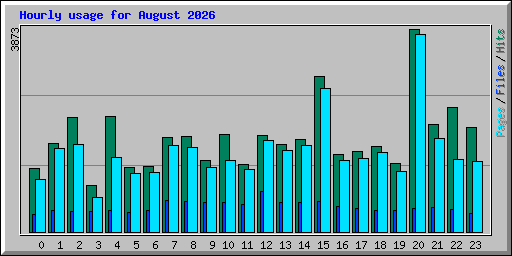 Hourly usage for August 2026