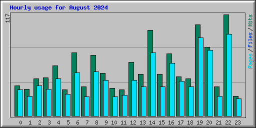 Hourly usage for August 2024