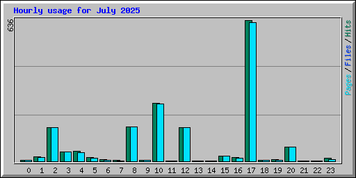 Hourly usage for July 2025
