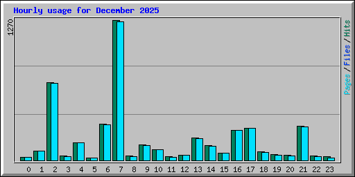 Hourly usage for December 2025