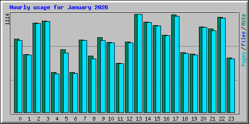 Hourly usage for January 2026