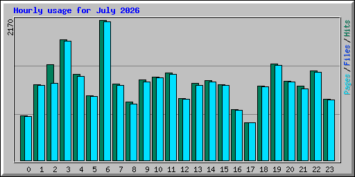 Hourly usage for July 2026